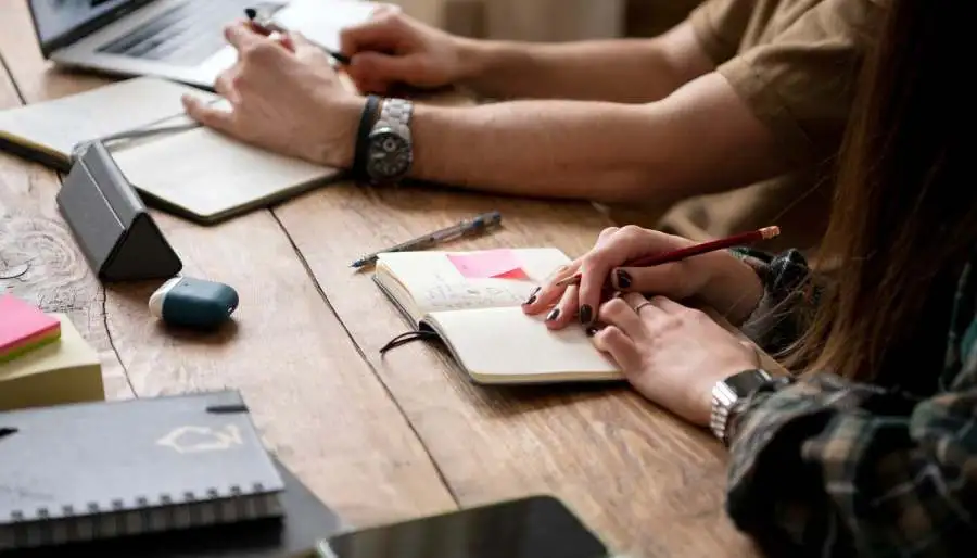 SEO ve İçerik Yönetimi